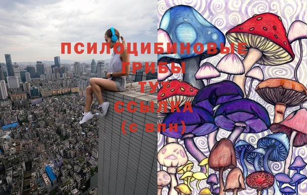 бошки Майский