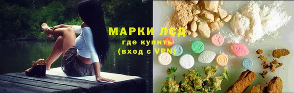 PSILOCYBIN Магас