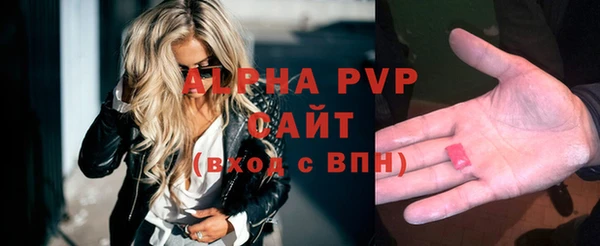 сатива Магадан