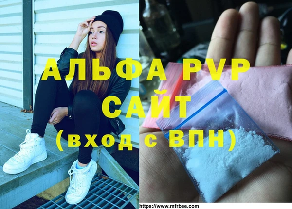 сатива Магадан