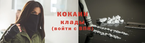 сатива Магадан