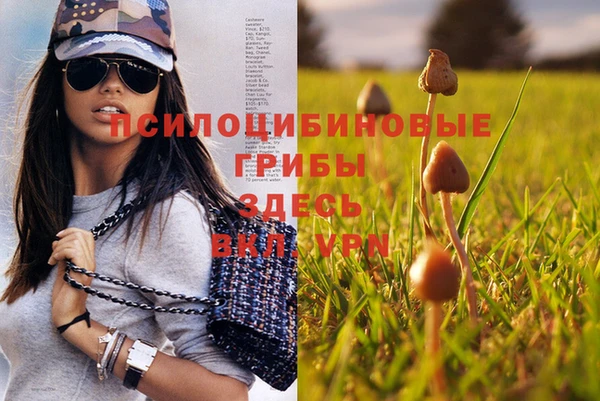 бошки Майский