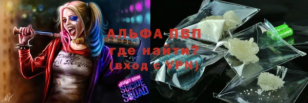 сатива Магадан