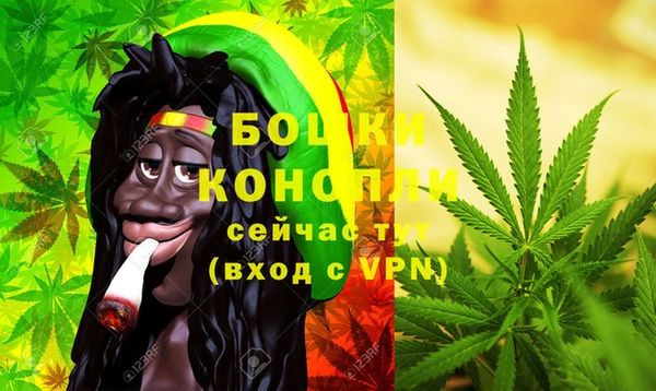 PSILOCYBIN Магас