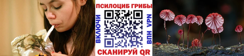 Псилоцибиновые грибы Psilocybine cubensis  цена наркотик  Рыльск 